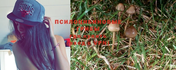 jwh Алзамай