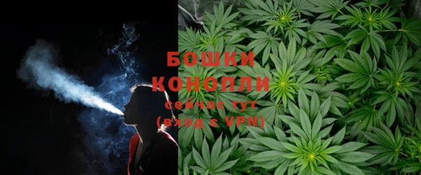 прущий лед Осташков