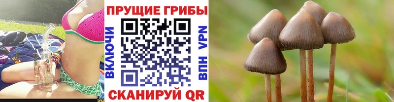закладки  Сольвычегодск  Псилоцибиновые грибы мухоморы 