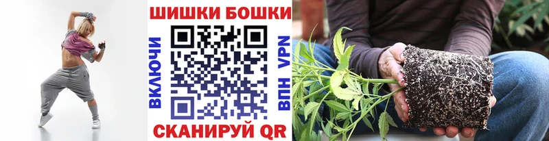Канабис конопля  Сольвычегодск 